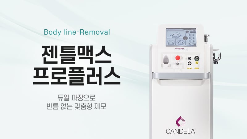 젠틀맥스 프로플러스